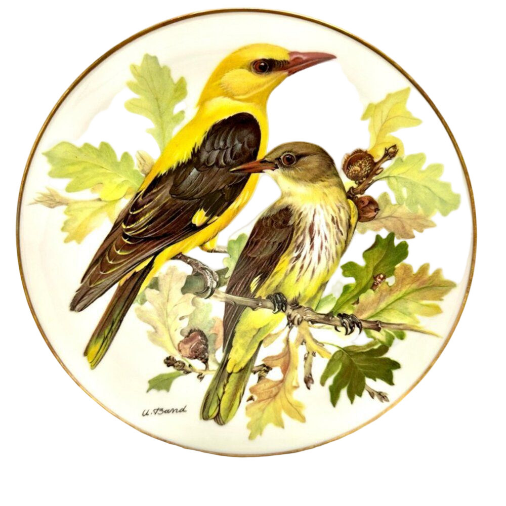 WWF Europaische Singvogel Von Ursula Band Golden Oriole  Plate w/COA No. 1967C